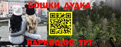 индика Усть-Илимск