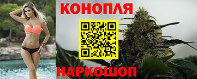 индика Усть-Илимск