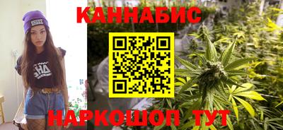 индика Усть-Илимск