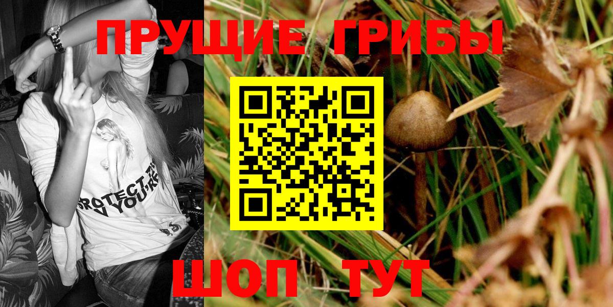 Псилоцибиновые грибы MAGIC MUSHROOMS Мичуринск