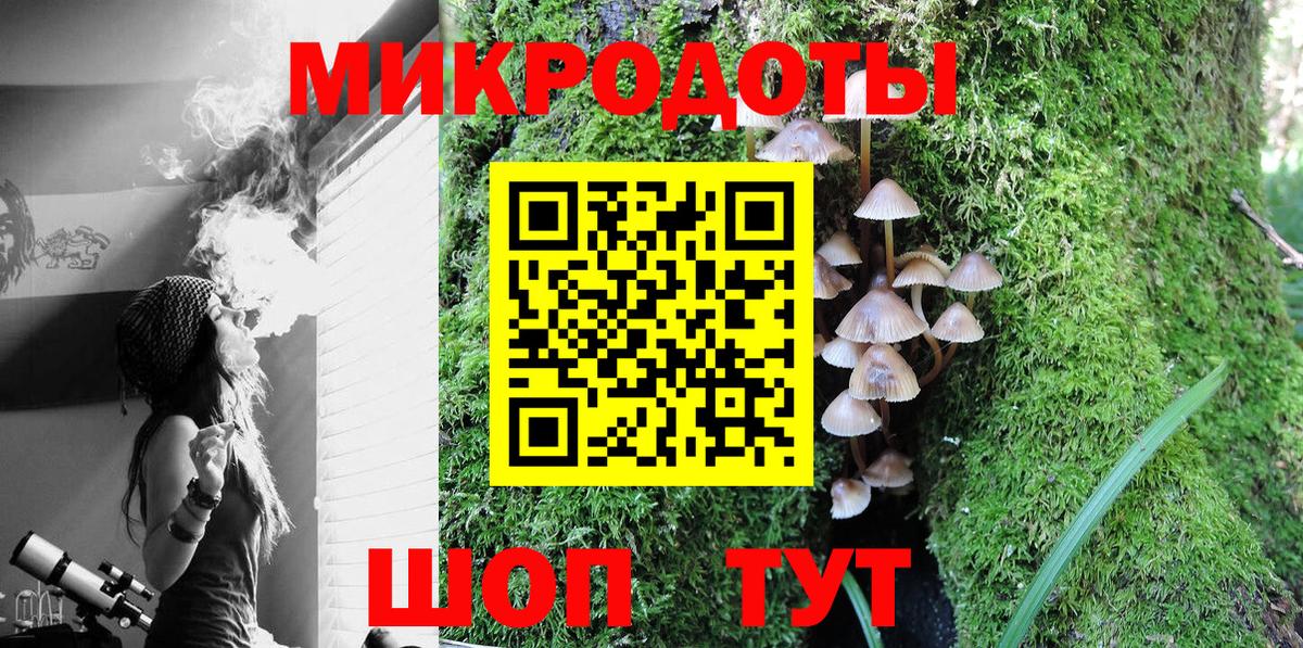 Галлюциногенные грибы прущие грибы  Вход с VPN  Мичуринск  Галлюциногенные грибы Psilocybe 